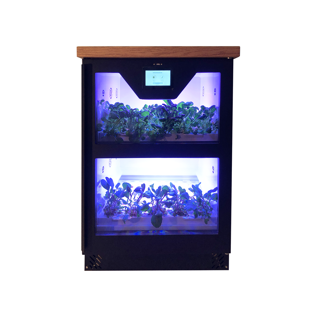 Mikro žalumynų auginimo spinta Horto2